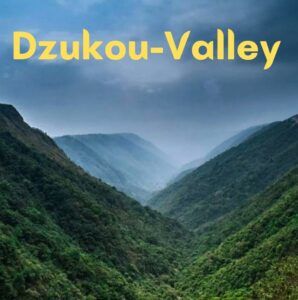 DZUKOU VALLEY- A PARADISE FOR NATURE ENTHUSIASTS