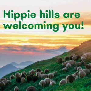 PLAN YOUR WAY THROUGH THE HIPPIE STREETS OF KULLU-MANALI