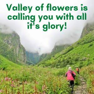 Valley of Flowers Trek