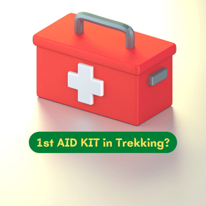 Reasons to keep a first aid kit on a trek