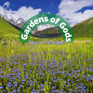 Valley of Flowers or the Valley of God?